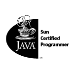 Sun Certified Programmer